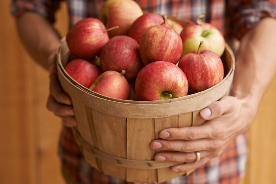 Bushel Apples