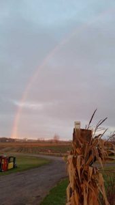 Rainbow over Forsythe Family Farms