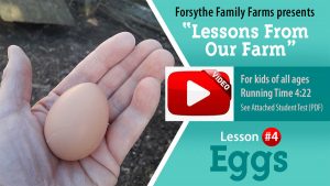 Lesson #4 Eggs