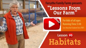 Lesson #6 Habitats