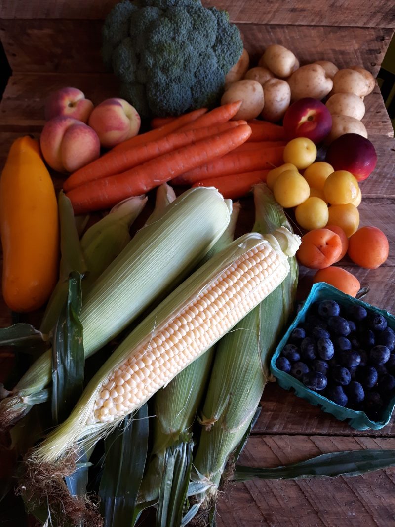 Forsythe Family Farms Connect to the countryside! Home