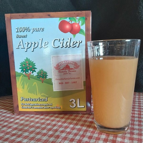 apple cider 3L