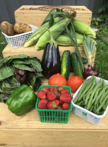 CSA Summer fresh fruits and vegetables