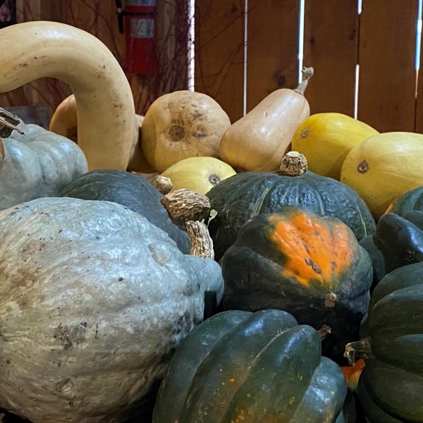 selection of squash