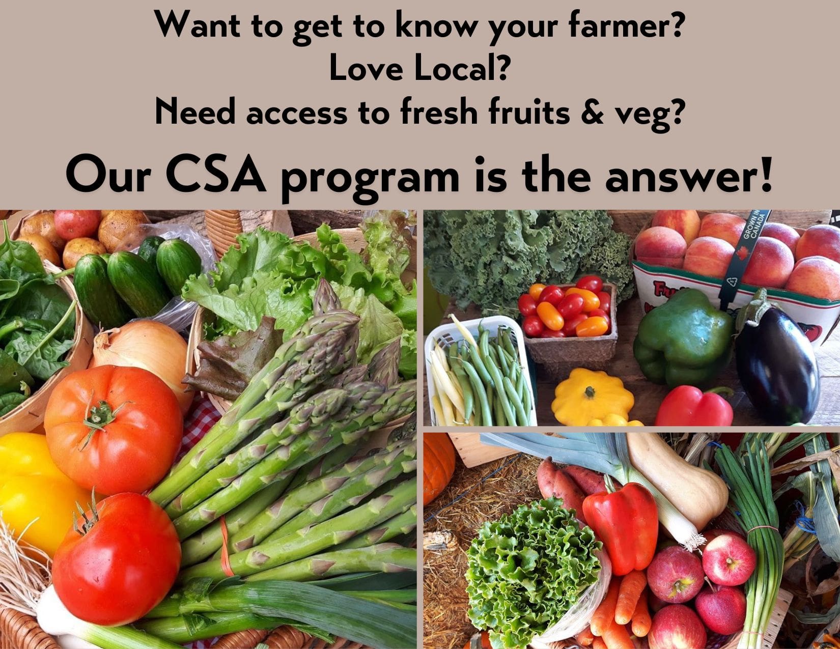 Connect to the countryside Forsythe Family Farms! Home