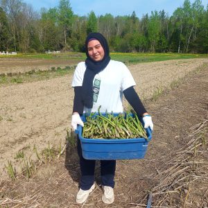 Amal in the fields