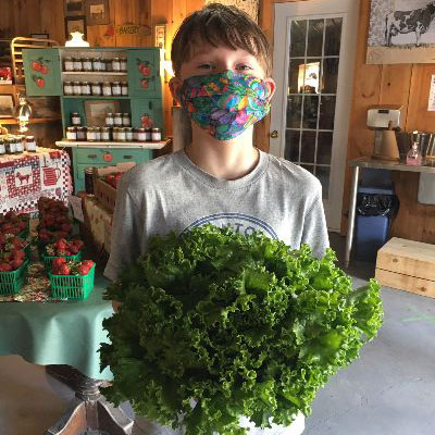 Thomas with Lettuce