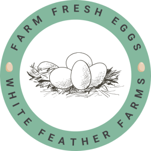 add on farm fresh eggs