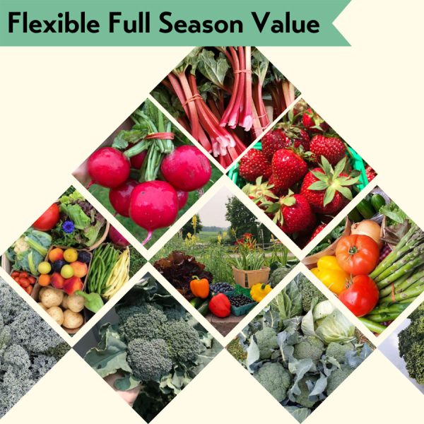 full season bundle with monthly summer flexibility