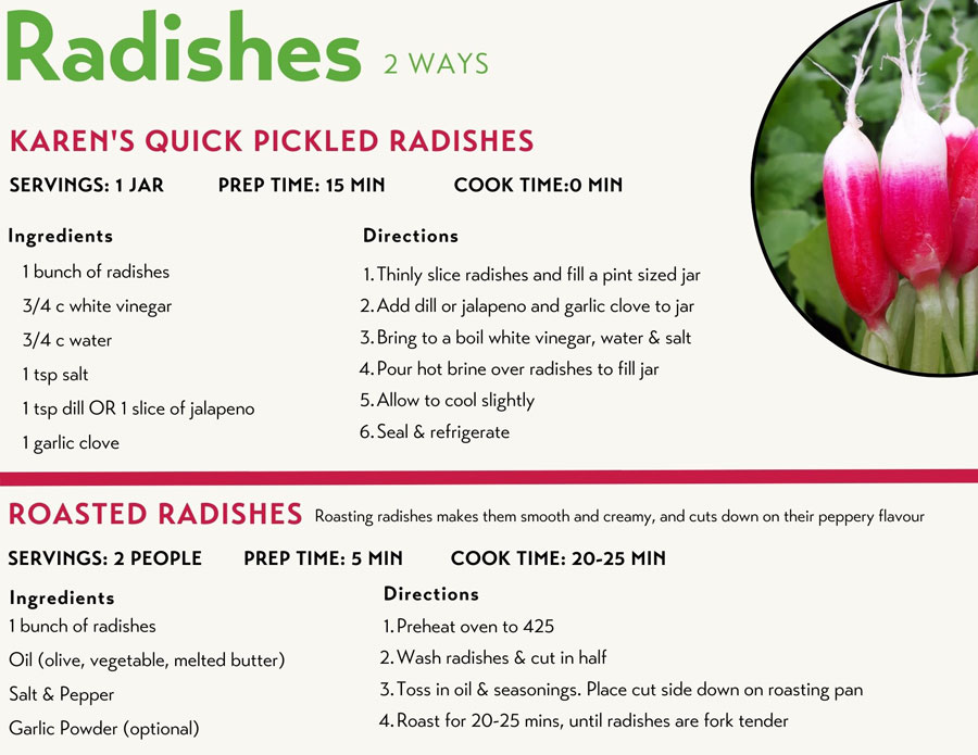 Radish Recipes for CSA
