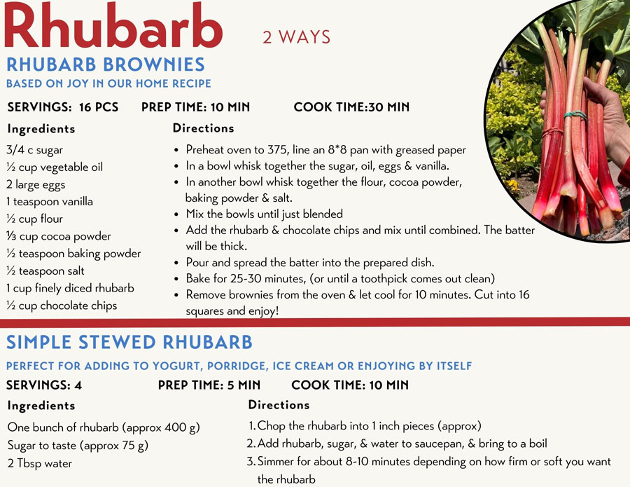 Rhubarb Recipes CSA