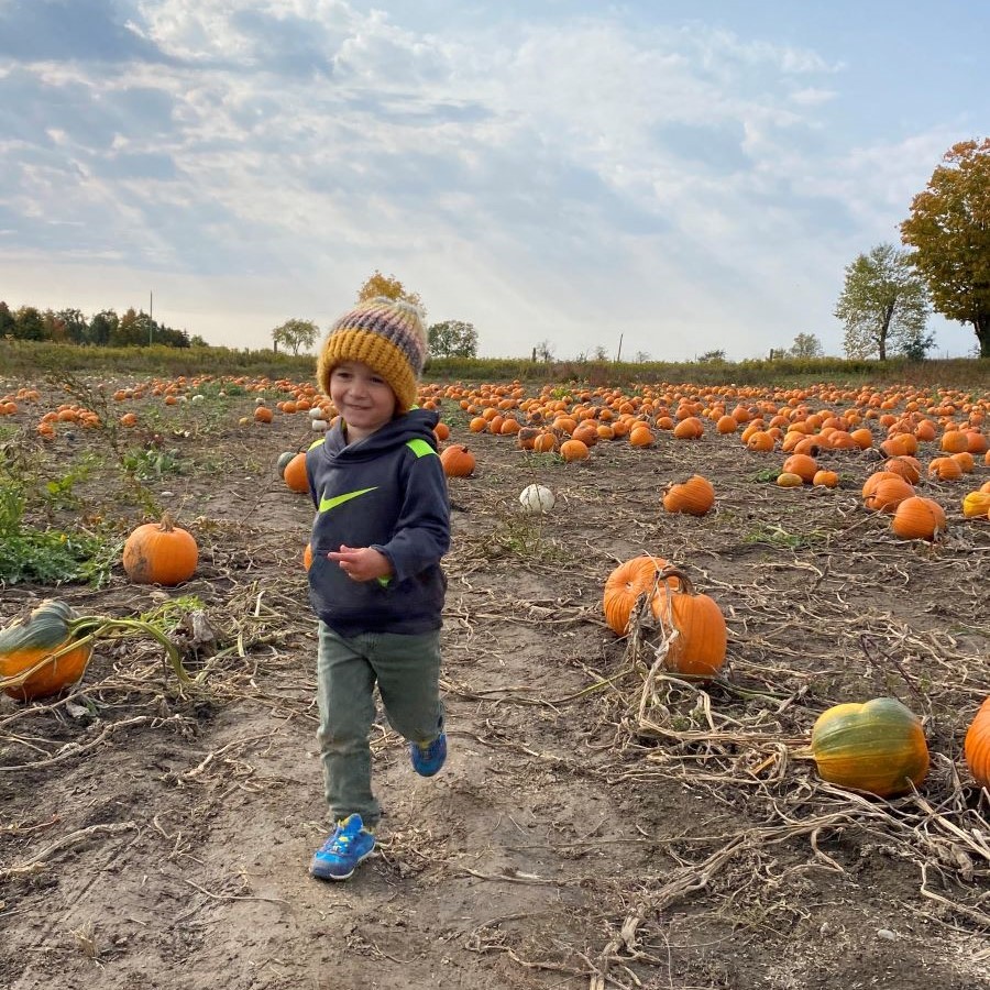 fun in the pumpkin patch