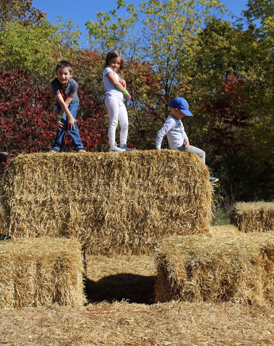 Farms are Fun Kids on the straw maze